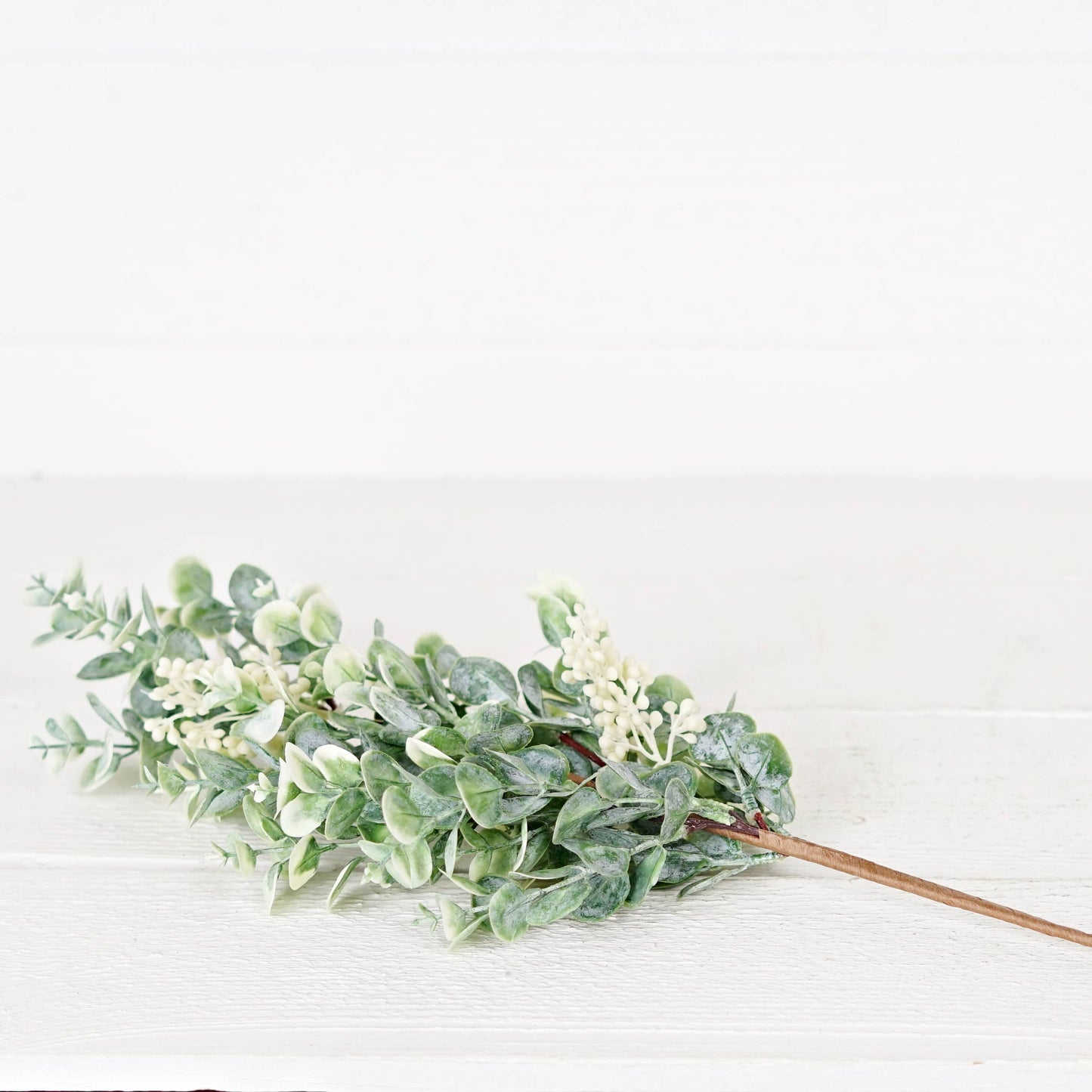 27507 - 19in Bush-Seeded Baby Eucalyptus