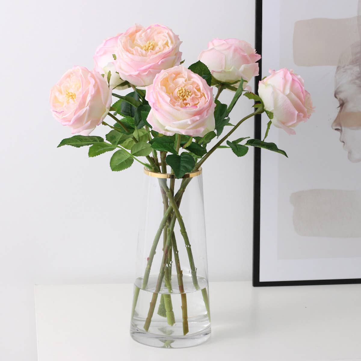 17"Premium Real touch English Austin Cabbage Rose Stem