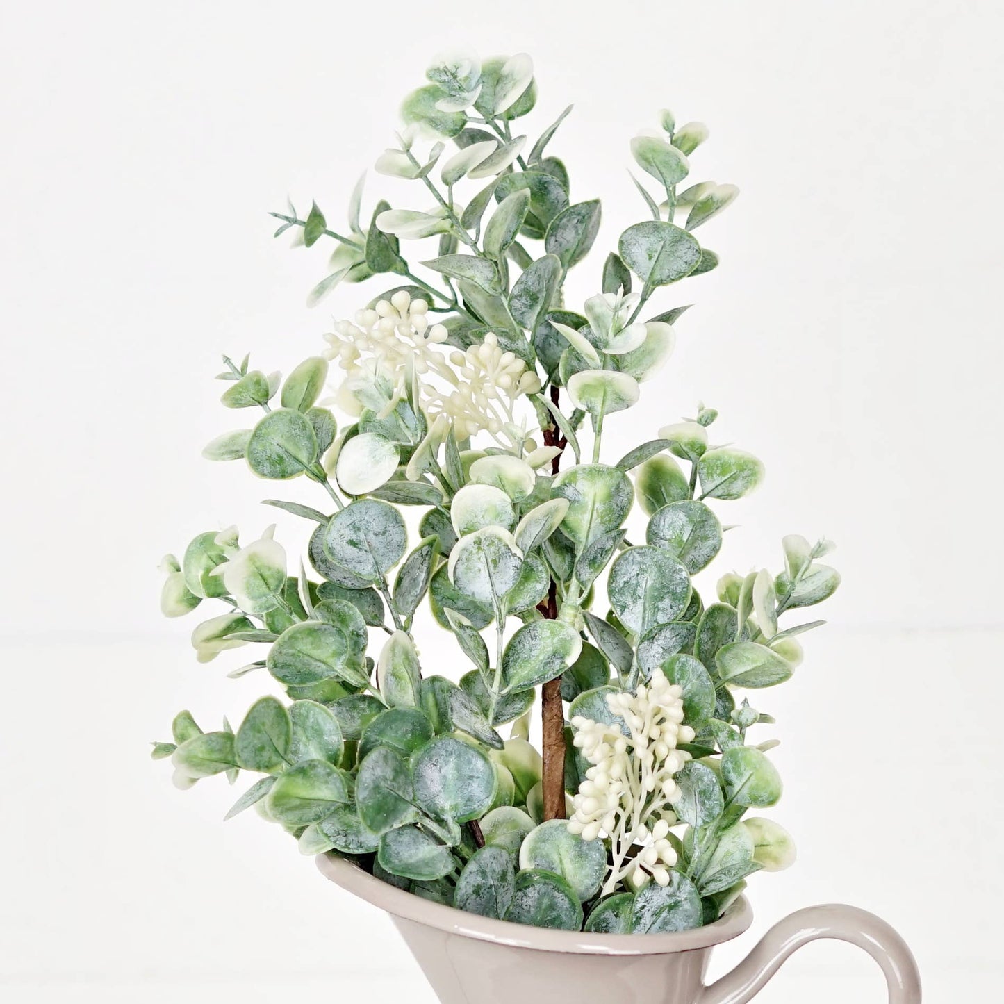 27507 - 19in Bush-Seeded Baby Eucalyptus