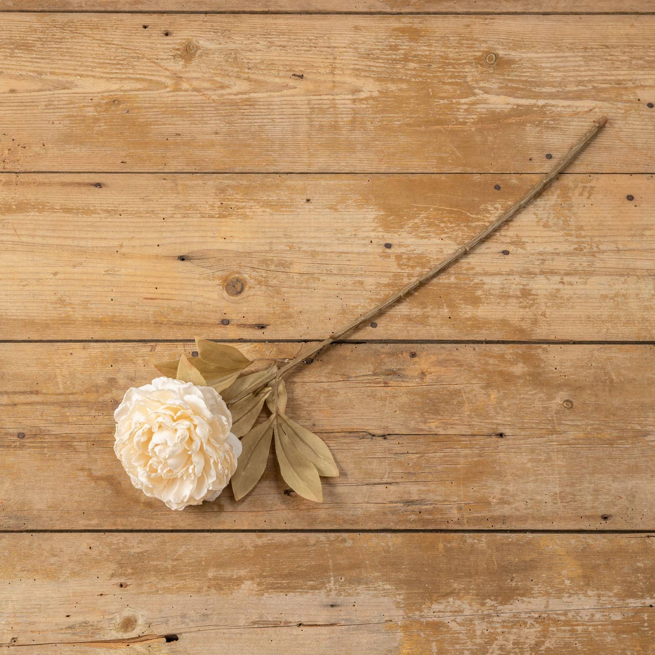 30.5" CREAM PEONY SPRAY