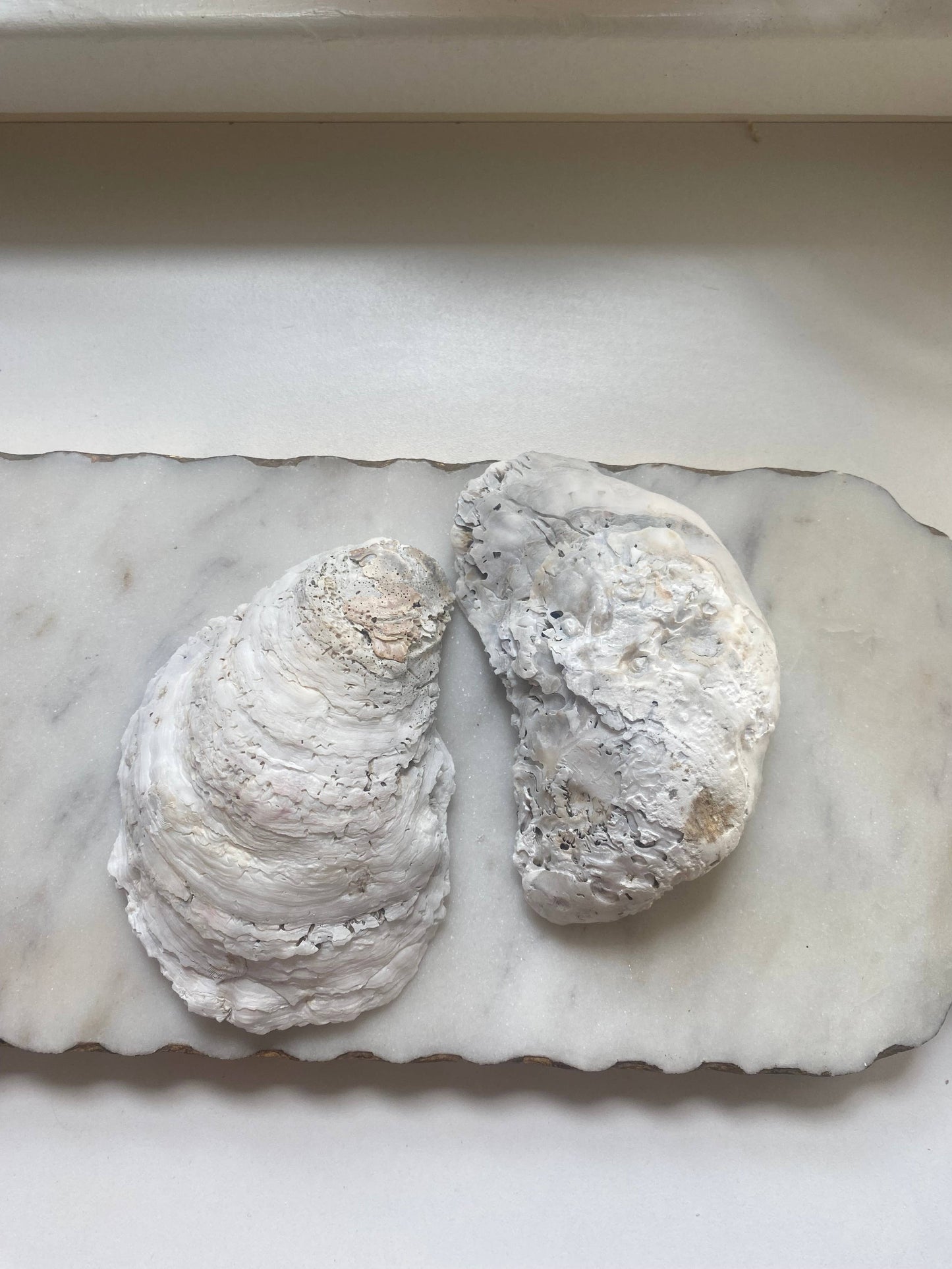 Blue Porcelain Oyster Shell Jewelry Dish