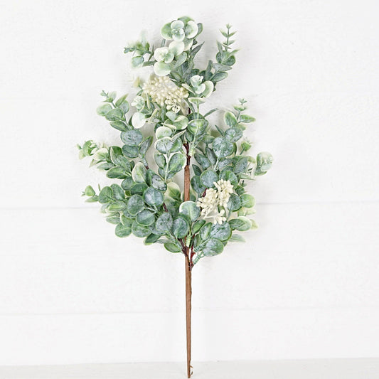 27507 - 19in Bush-Seeded Baby Eucalyptus